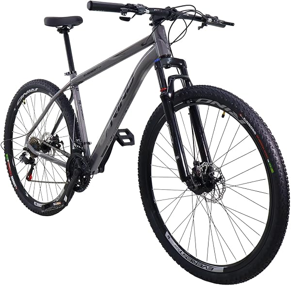 Bicicleta Rino Everest Aro 29