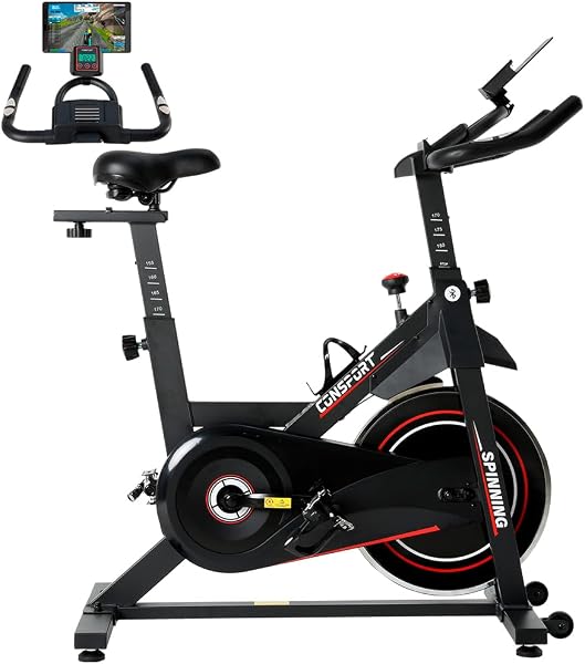 Bicicleta Spinning S100 Consport